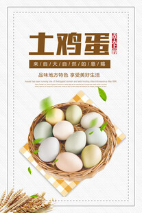 鸡蛋海报