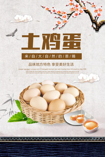 鸡蛋海报