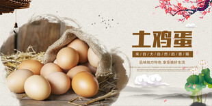 鸡蛋海报