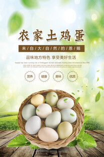 鸡蛋海报