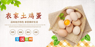 鸡蛋海报