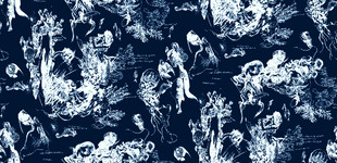 蓝白花卉图案布料纹理