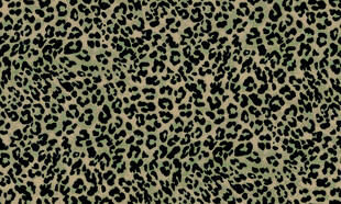 豹纹图案纹理背景图