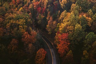 秋日林间蜿蜒公路美景