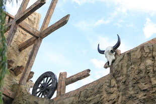 古老木架上的牛头装饰