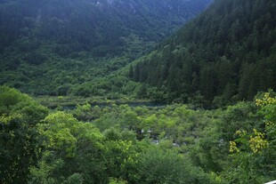 山间葱郁绿野美景