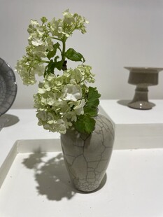 素雅花瓶中的白色花卉