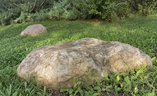 草地上的几块大石头