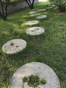 草坪上的圆形石板小径