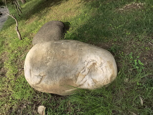 草地上的独特石头