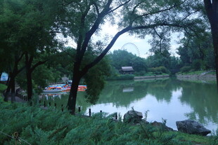 公园风景  