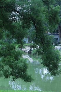 公园风景  