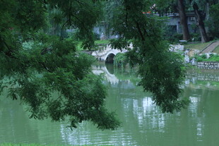 公园风景 