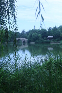 公园风景  