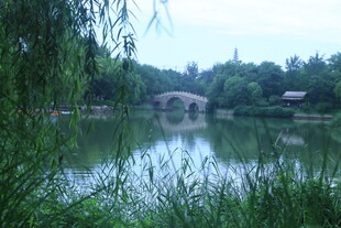 公园风景  