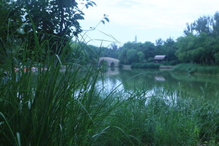 公园风景  