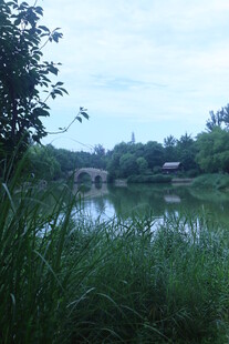 公园风景 