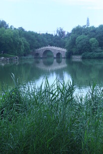 公园风景  