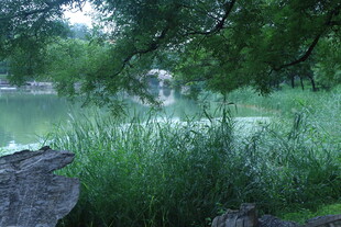 公园风景  