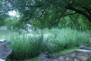 公园风景 