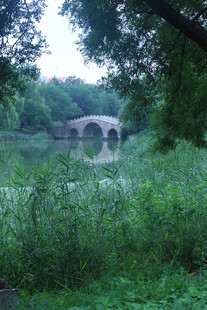 公园风景  