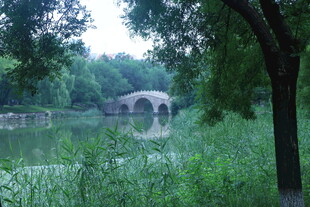公园风景  