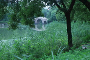 公园风景  