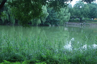 公园风景 