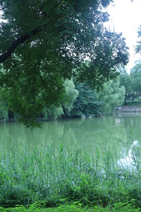 公园风景  