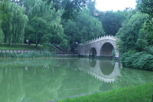 公园风景  