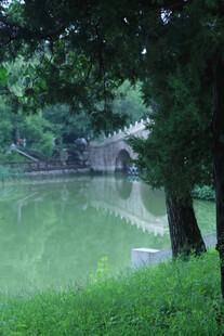 公园风景  