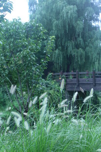 公园风景  