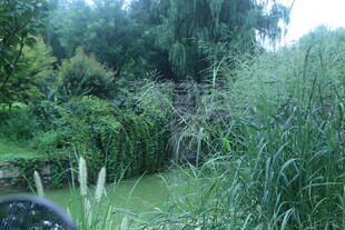 公园风景  