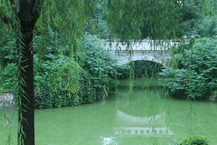 公园风景 