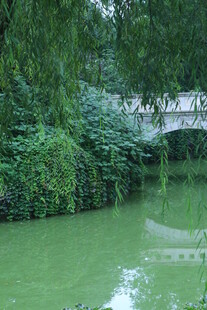公园风景  
