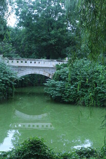 公园风景 