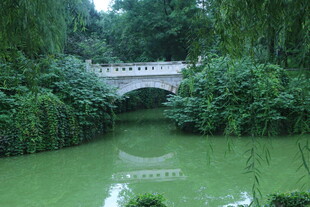 公园风景 