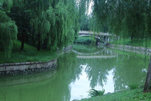 公园风景  