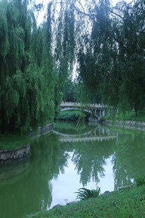 公园风景  