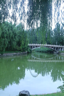 公园风景  