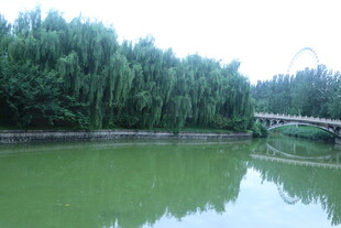 公园风景 
