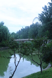 公园风景  