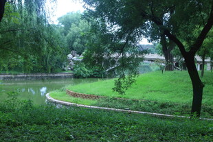 公园风景 