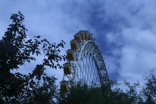 公园风景  