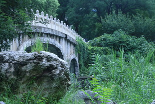 公园风景  