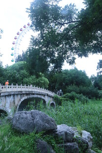公园风景  