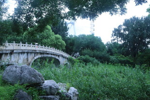 公园风景  