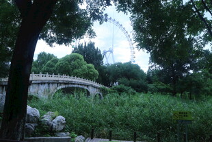 公园风景 