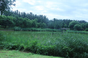 公园风景 