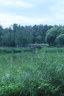公园风景 